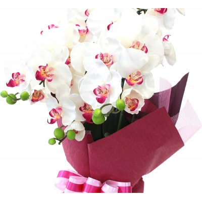 胡蝶蘭 造花 シルクフラワーの胡蝶蘭の鉢植え 3本立 光触媒 ホワイトオーキッド