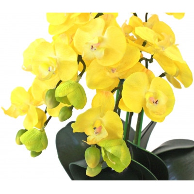 胡蝶蘭 造花 シルクフラワーのミニ胡蝶蘭の鉢植 3本立 CT触媒 イエロー