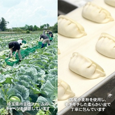 業務用冷凍生餃子3袋(180個)　ぎょうざの満洲【配送不可地域：離島】