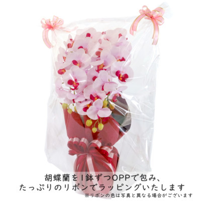 造花 シルクフラワーの胡蝶蘭の鉢植え 3本立 CT触媒 ホワイトオーキッド