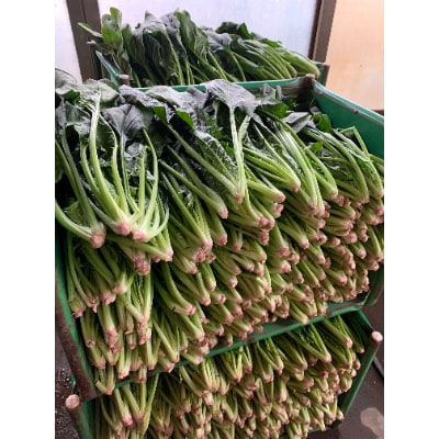 循環型農法 ほうれん草とねっとり里芋【配送不可地域：離島・沖縄県】