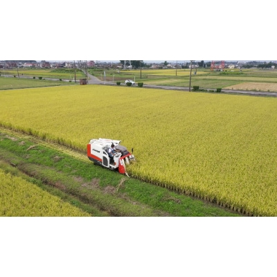 本格芋焼酎「風来」