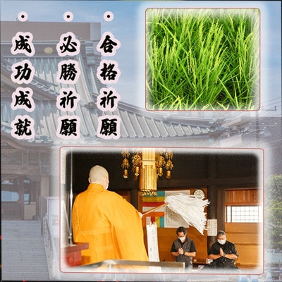 彩のきずな(5kg×1袋)精米