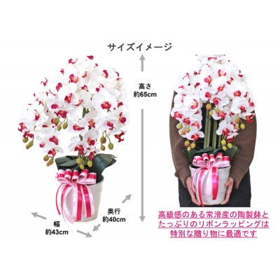 胡蝶蘭 造花 常滑産陶製鉢に入ったシルクフラワーの胡蝶蘭の鉢植 5本立 CT触媒 ライトパープル