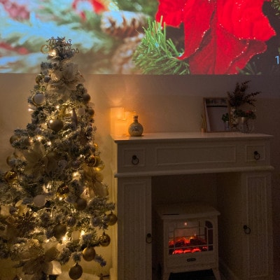 【Alpiniaオーダーメイドエステ】(ハーブピーリング・脱毛・ホームケア化粧品含む)2回分