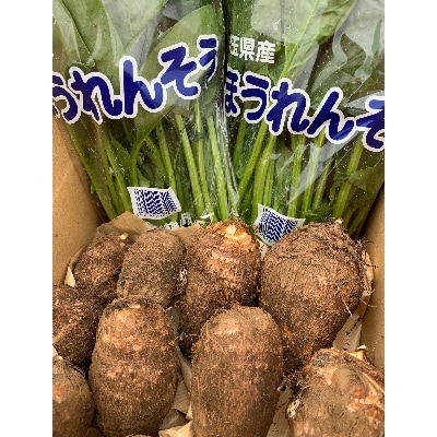 循環型農法 ほうれん草とねっとり里芋【配送不可地域：離島・沖縄県】