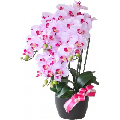 胡蝶蘭 造花 常滑産陶製鉢に入ったシルクフラワーの胡蝶蘭の鉢植 5本立 CT触媒 ライトパープル