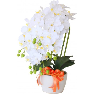 胡蝶蘭 造花 常滑産陶製鉢に入ったシルクフラワーの胡蝶蘭の鉢植 5本立 CT触媒 ホワイトイエロー