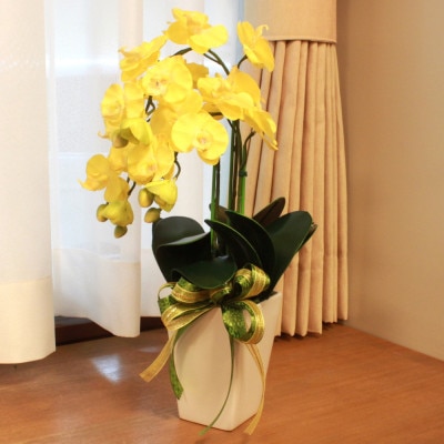 胡蝶蘭 造花 シルクフラワーのミニ胡蝶蘭の鉢植 3本立 CT触媒 イエロー