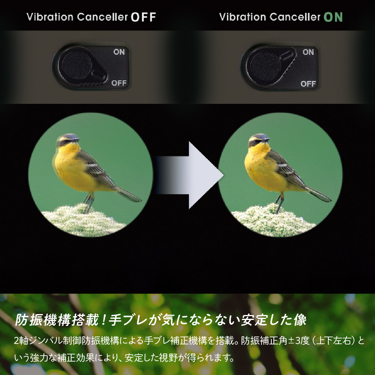 防振双眼鏡 ビクセン アテラ ATERAII H10x21 (グレージュ) Vixen