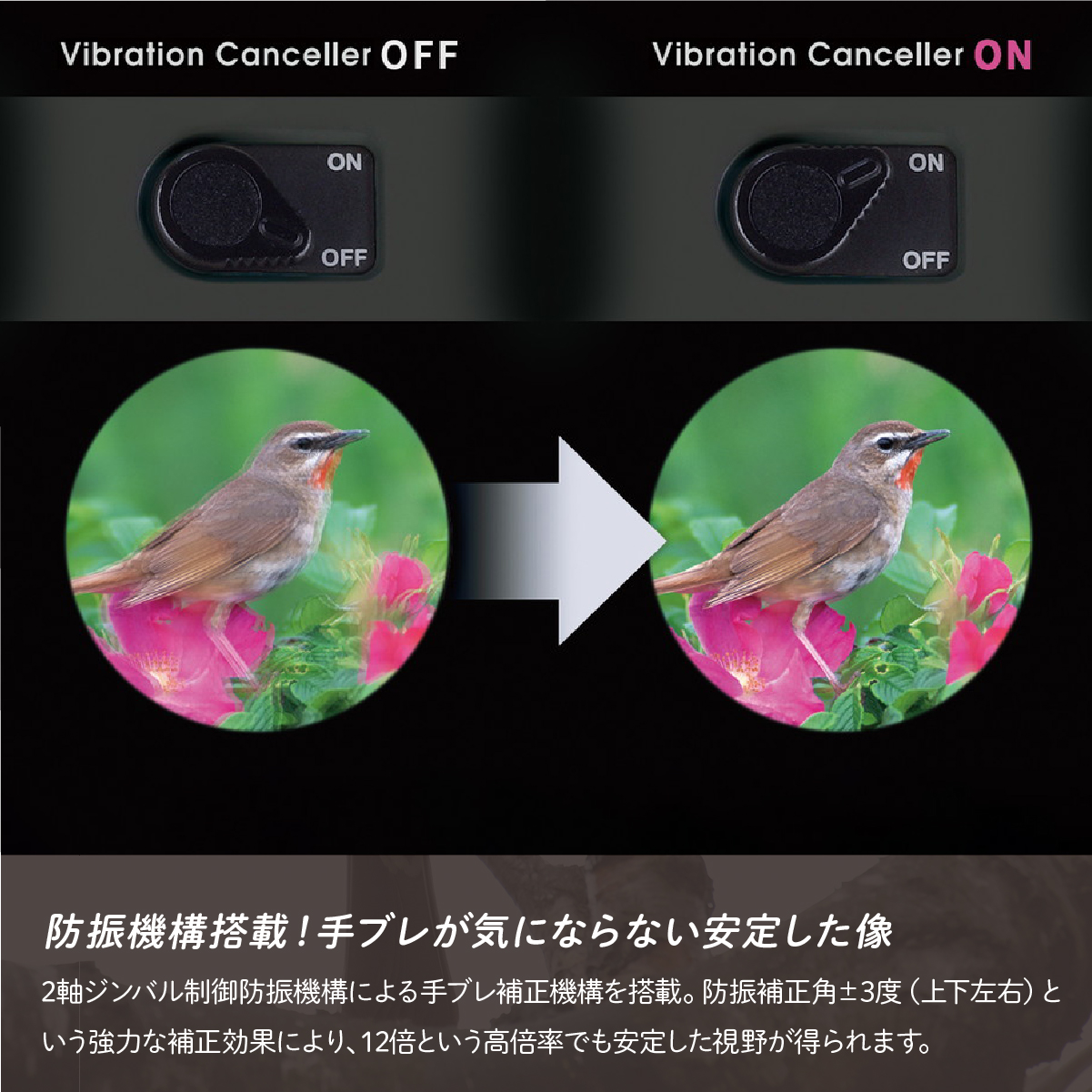 防振双眼鏡 ビクセン アテラ ATERAII H12x30 (チャコール) Vixen