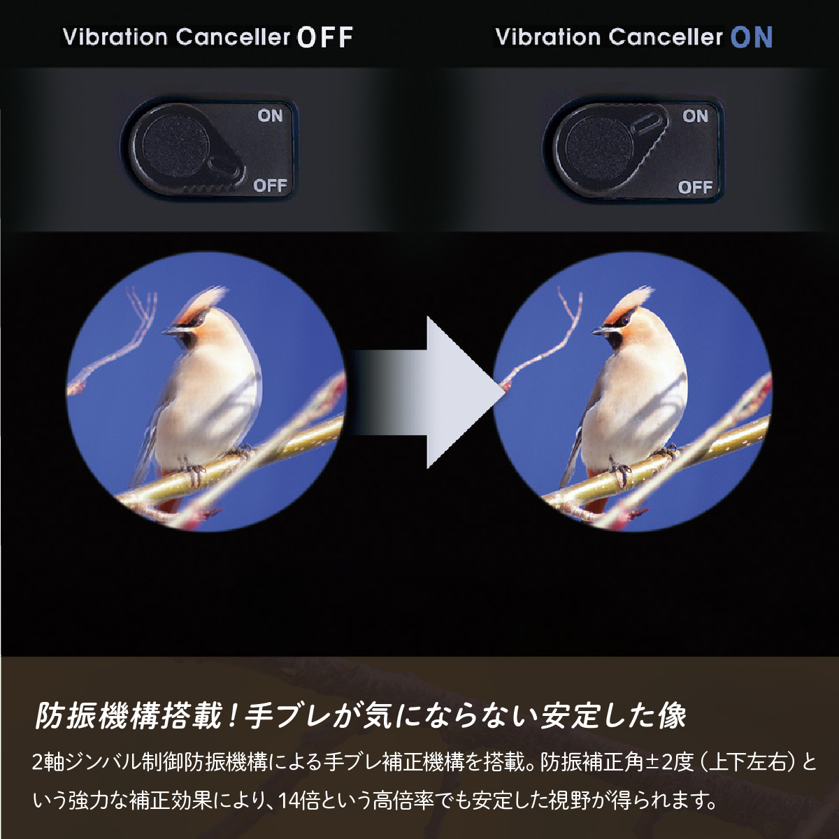 防振双眼鏡 ビクセン アテラ ATERAII H14x42WP (ブラック) Vixen