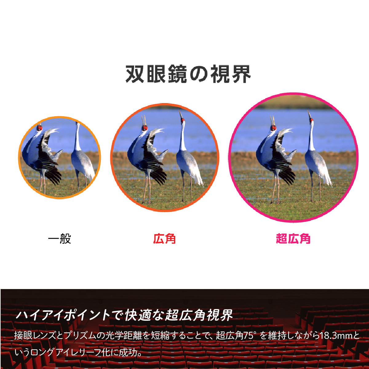双眼鏡 ビクセン SW8×25WP スーパーワイド Vixen