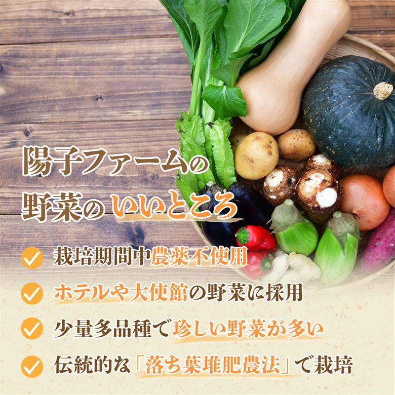 旬の野菜詰め合わせ7種~8種