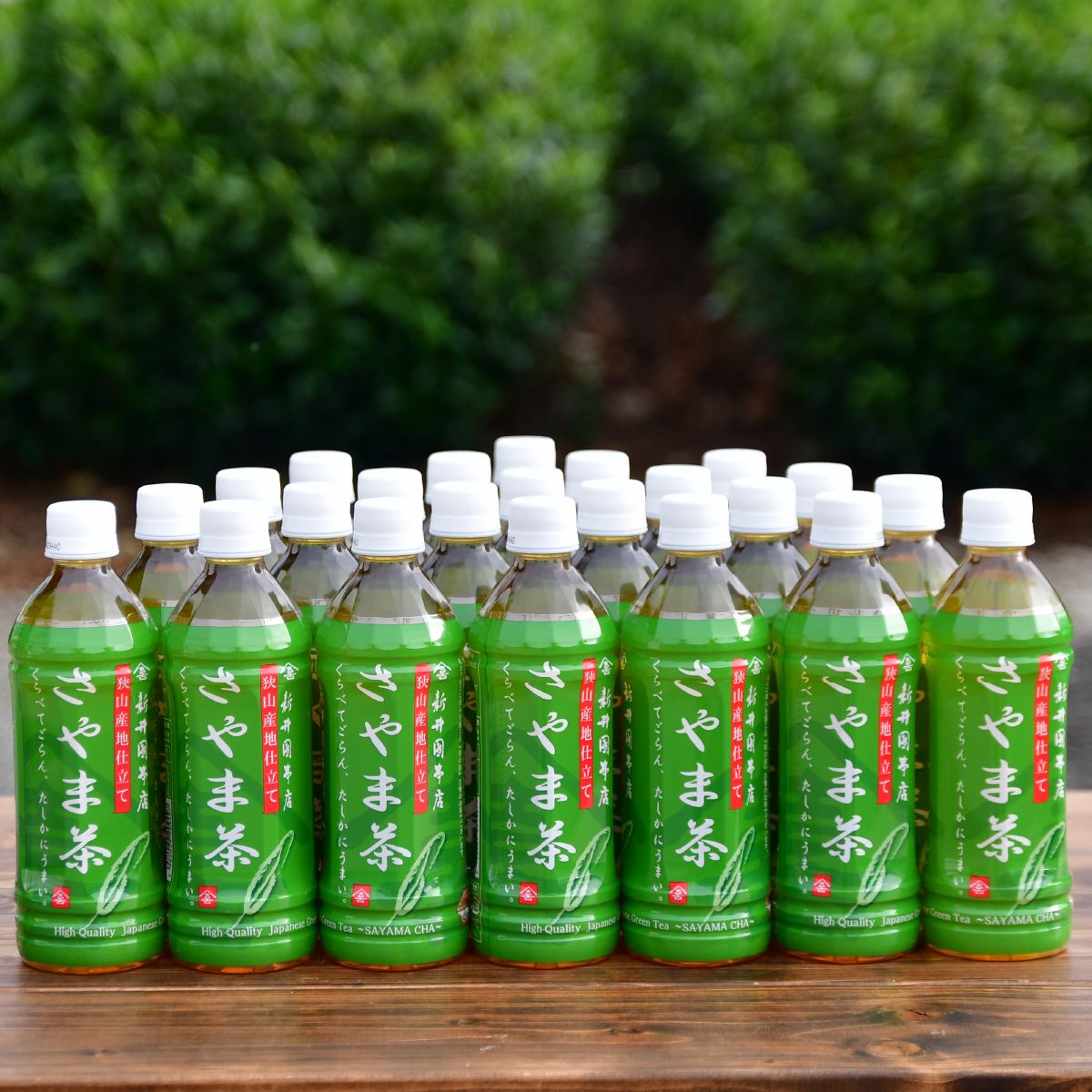 さやま茶 ペットボトル 500ml×24本 新井園本店