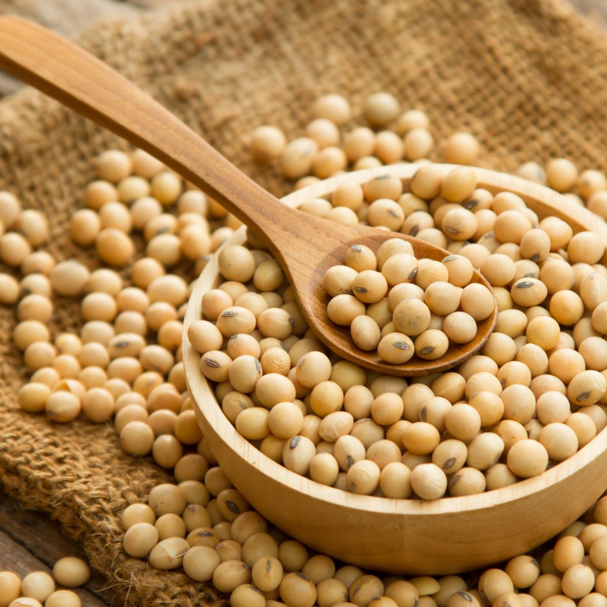 かつおだし醤油 720ml×3本 深井醤油