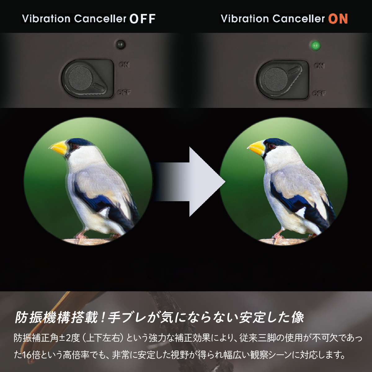 防振双眼鏡 ビクセン アテラ ATERAII EDH16x50WP (ブラックブラウン) Vixen