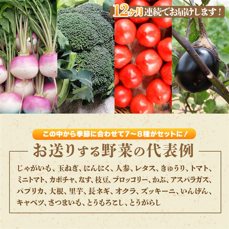 ＜12ヵ月定期便＞旬の野菜詰め合わせ11種~12種
