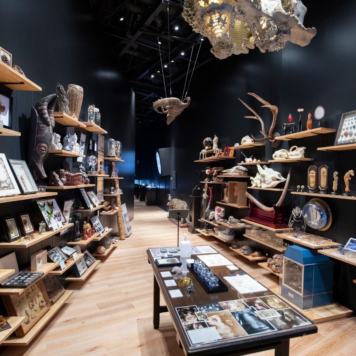 角川武蔵野ミュージアム スタンダードチケット 1枚