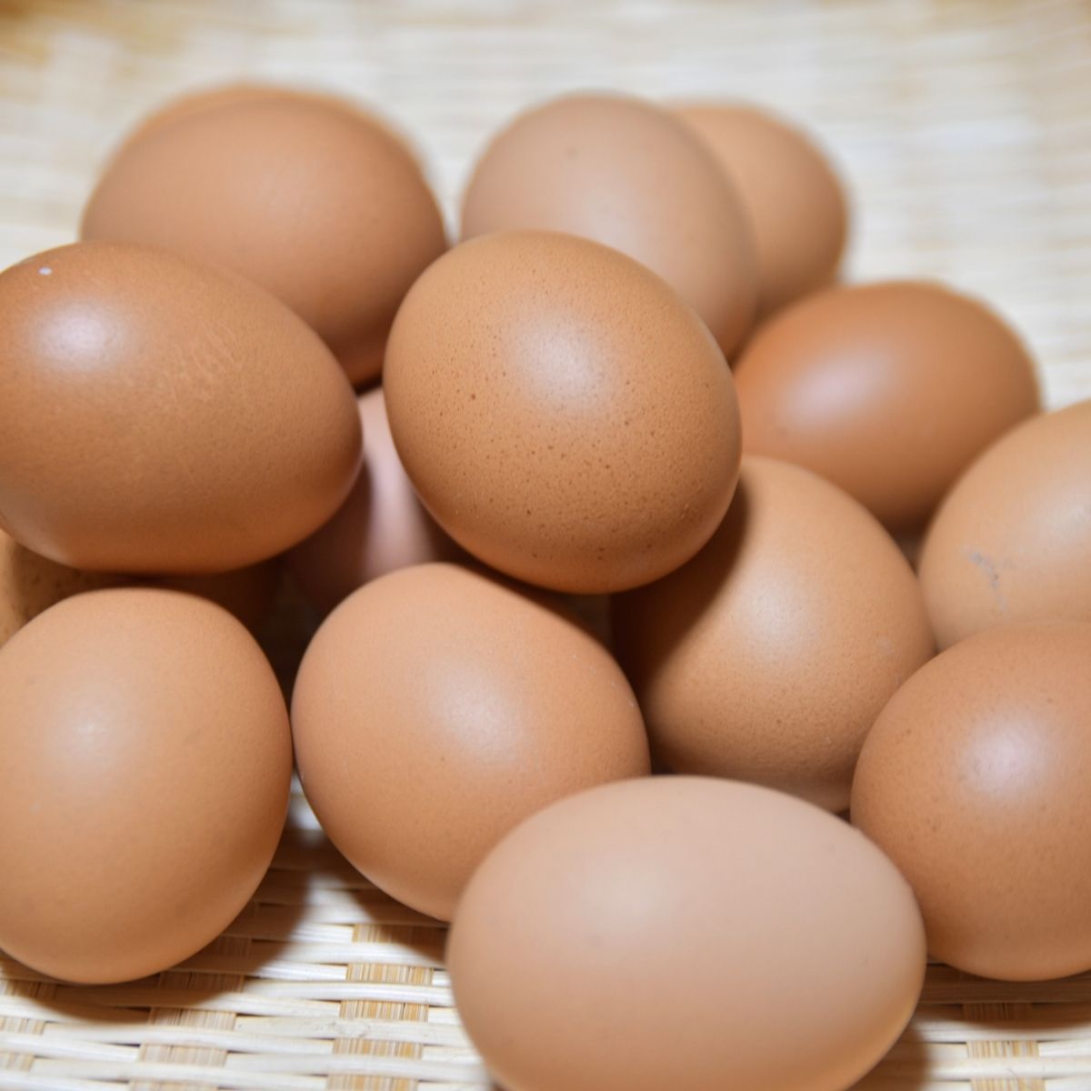 縁-En-カステラ 250g×1個 農場のハッピーたまご 川端産業