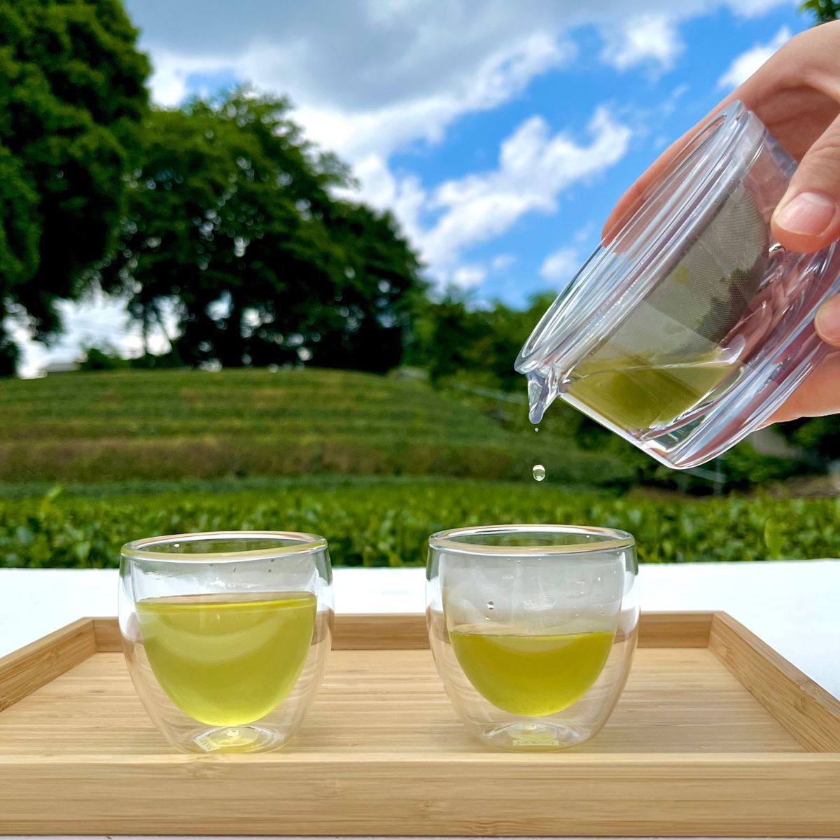 狭山茶 所沢ぐり茶 蕾(つぼみ) 3袋セット