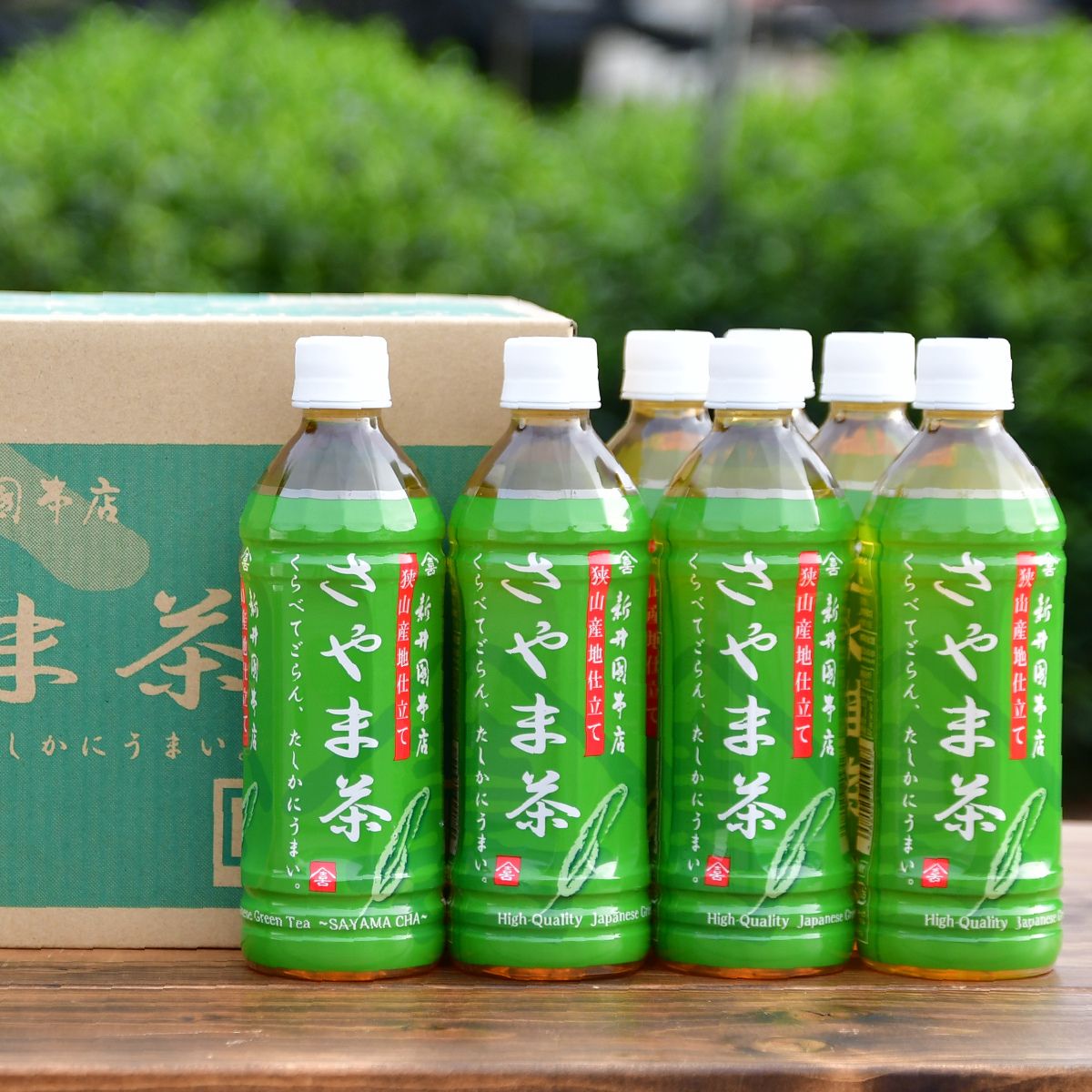さやま茶 ペットボトル 500ml×24本 新井園本店