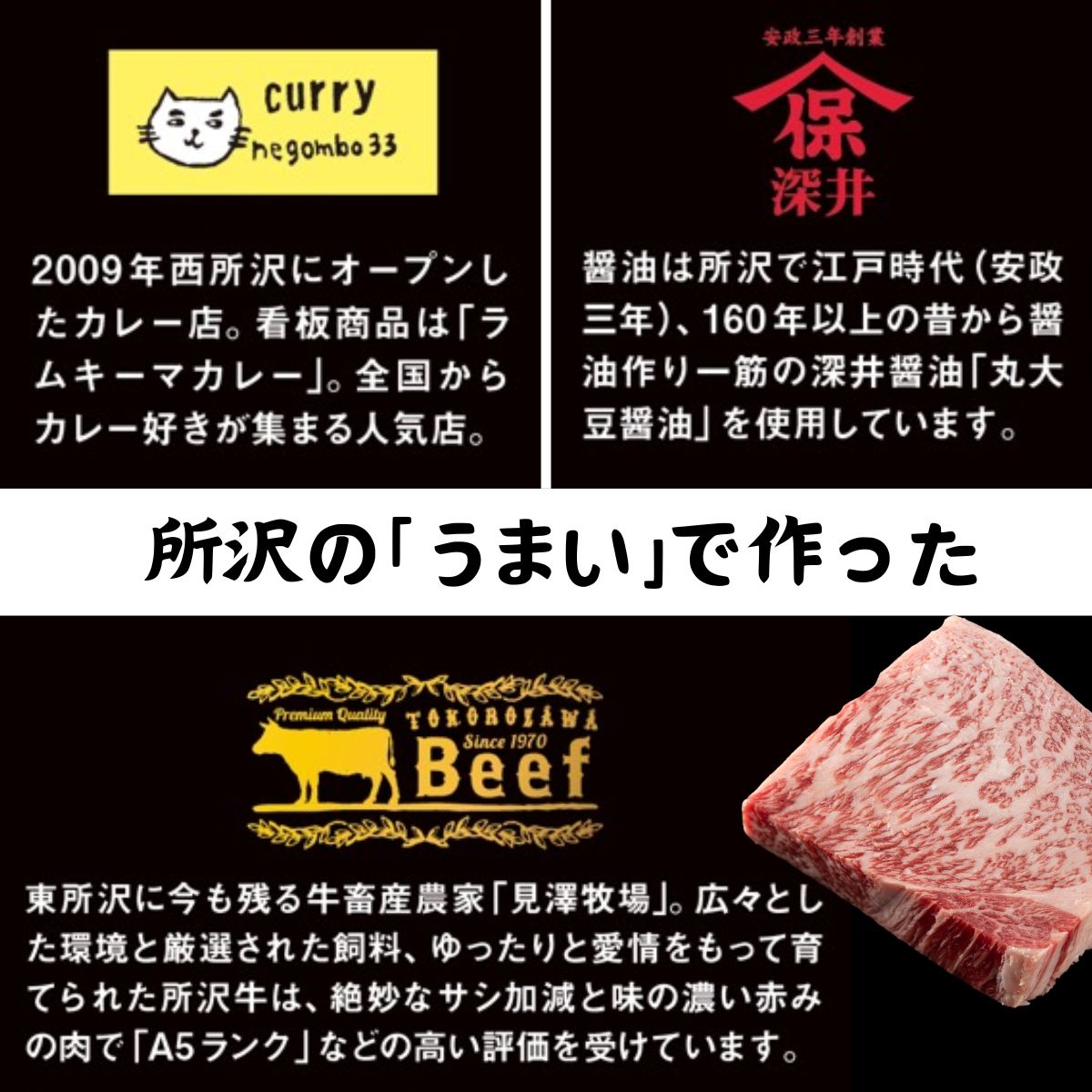 ネゴンボ33監修 所沢牛カレー 200g×3箱セット negombo33