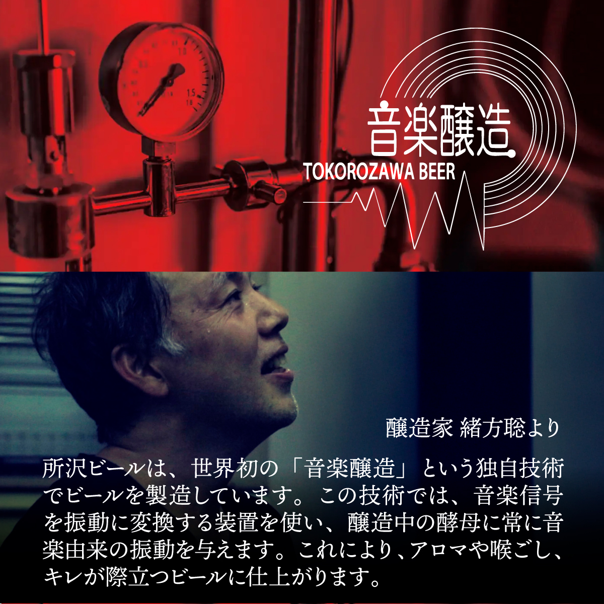 燻製ビール 6本で贅沢 (スモーキン) シングルセット 所沢ビール