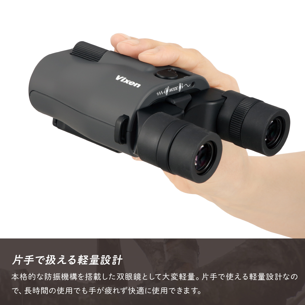 防振双眼鏡 ビクセン アテラ ATERAII H12x30 (チャコール) Vixen