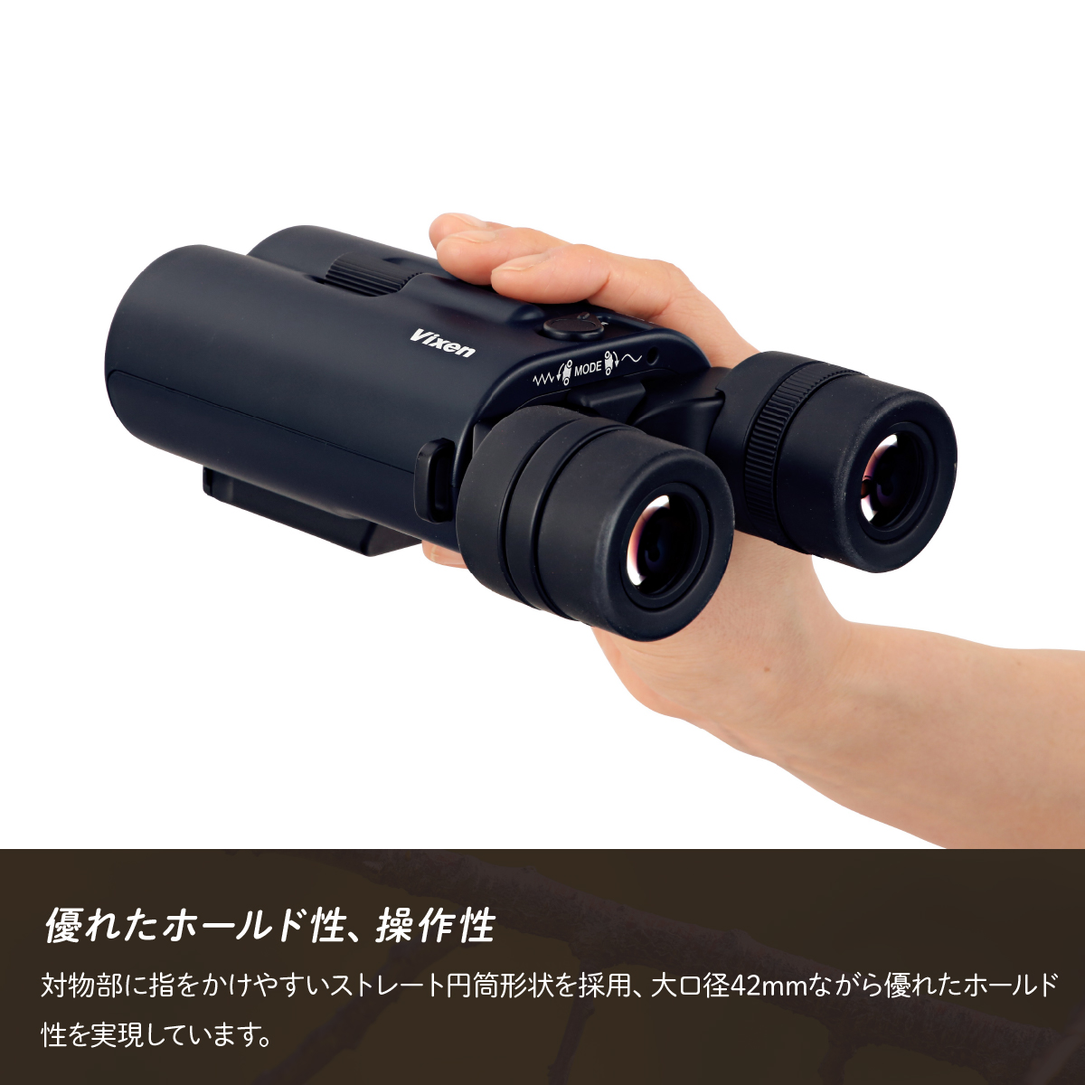 防振双眼鏡 ビクセン アテラ ATERAII H14x42WP (ブラック) Vixen