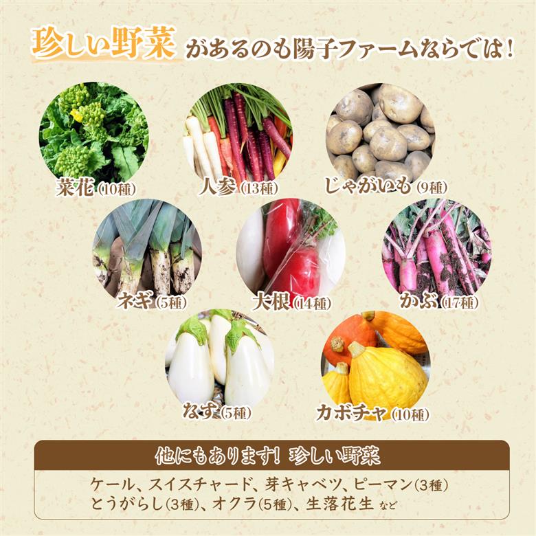 ＜3ヵ月定期便＞旬の野菜詰め合わせ7種~8種
