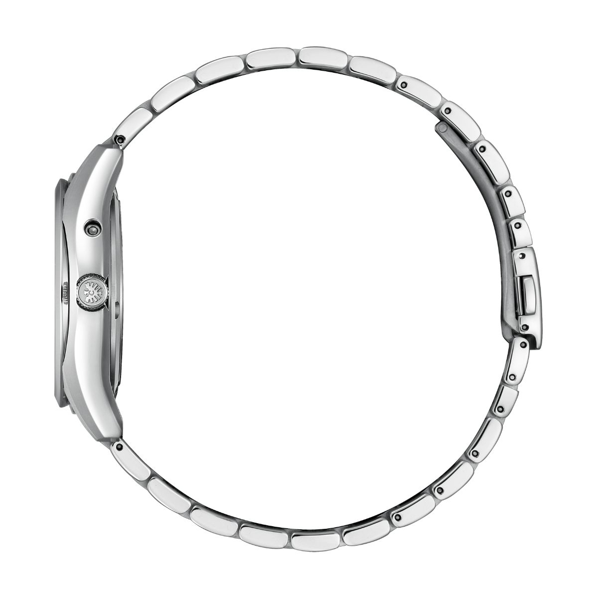 THE CITIZEN シチズン AQ4080-52E