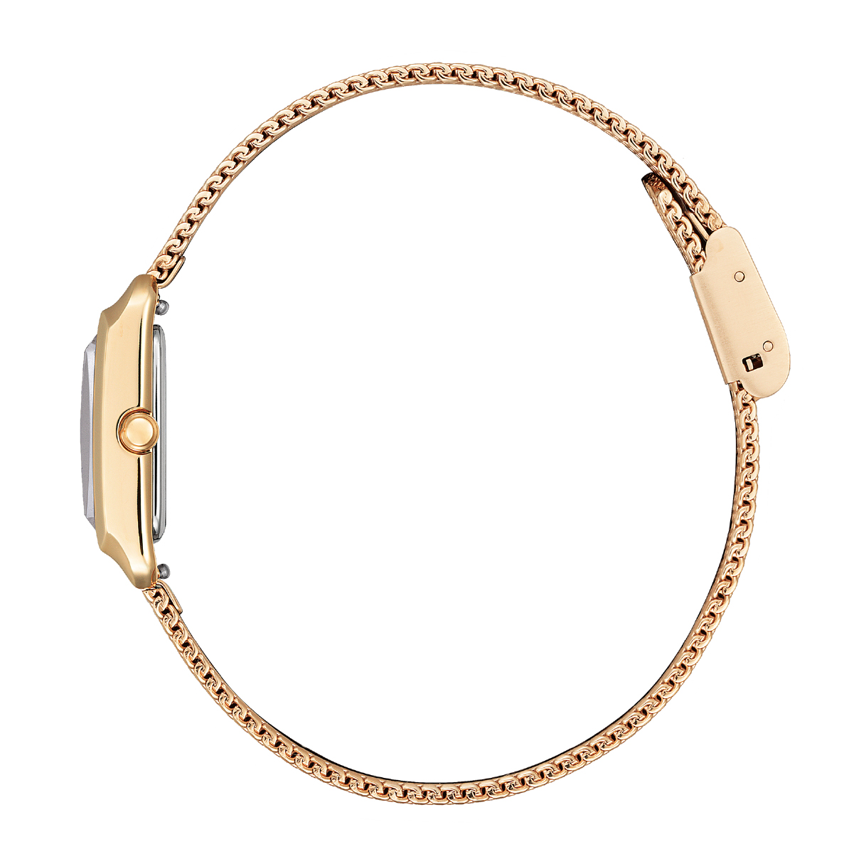 CITIZEN L シチズン エル EW5593-64D