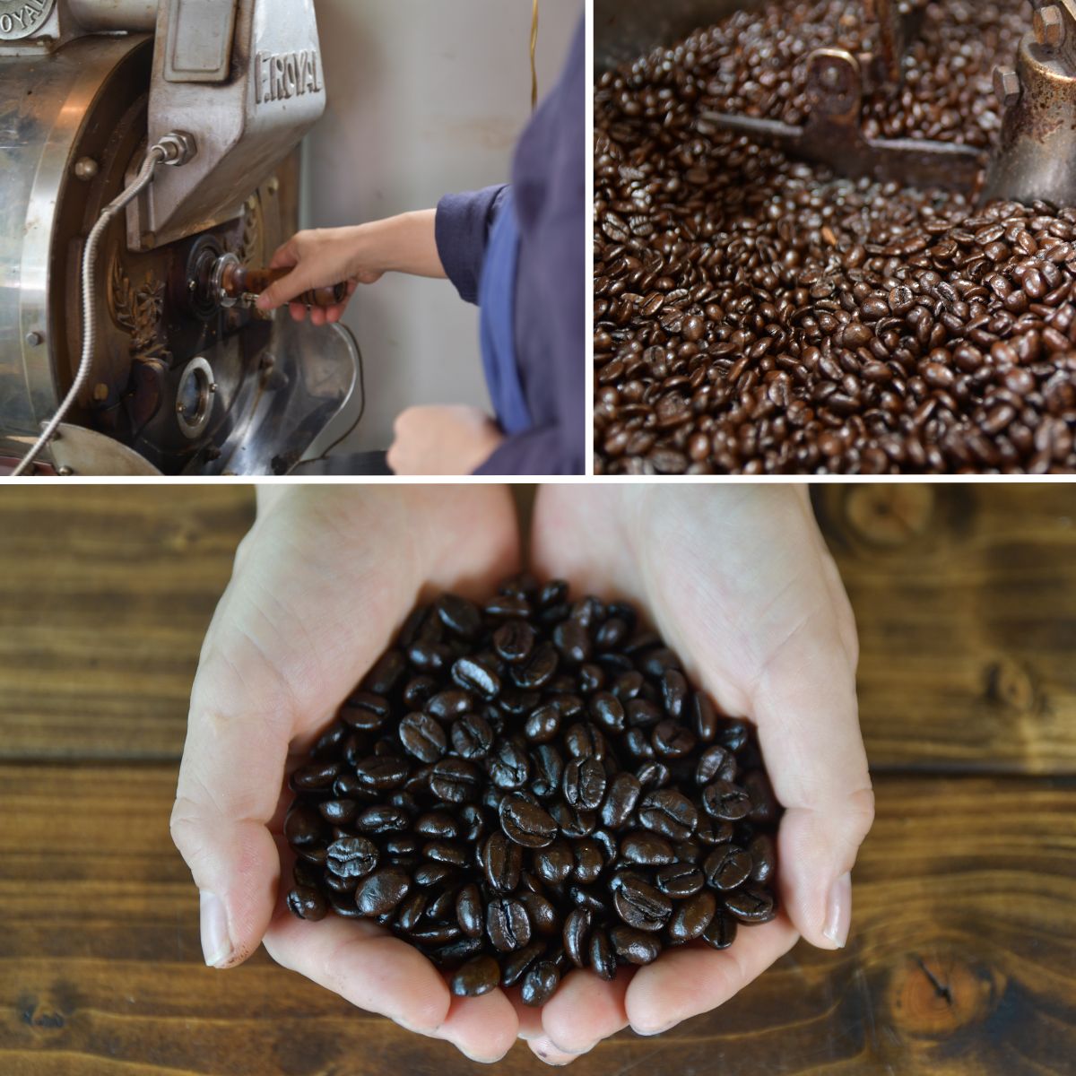 【3ヶ月定期便】所沢の森ブレンド＆ネゴンボブレンド 中深煎り ドリップバッグ 30袋 (計3回) 山田珈琲豆焙煎所