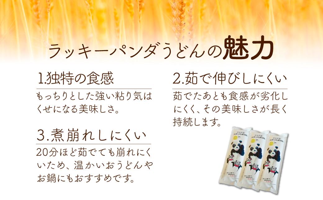 うどん ラッキーパンダうどん 60食セット (3束×20袋) | うどん 饂飩 乾? 麺 麺類 国産 国内産小麦使用 あやひかり もっちり つるっこ 食品 ラッキーパンダ おすすめ 人気 ぎふとるうむ山畑 埼玉県 所沢市 60食入り(3束×20袋)