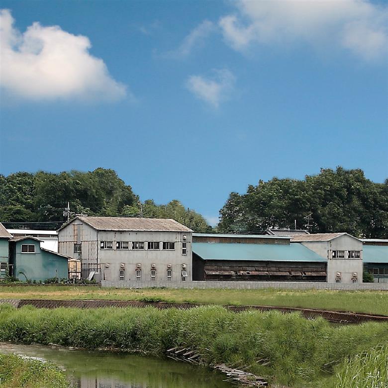 御吉兆うずら～麺 2箱 (8食分)