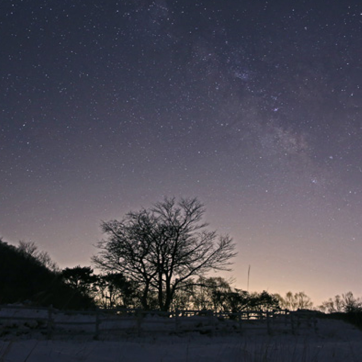 ポータブル赤道儀 ビクセン Vixen 星空雲台ポラリエ(WT)