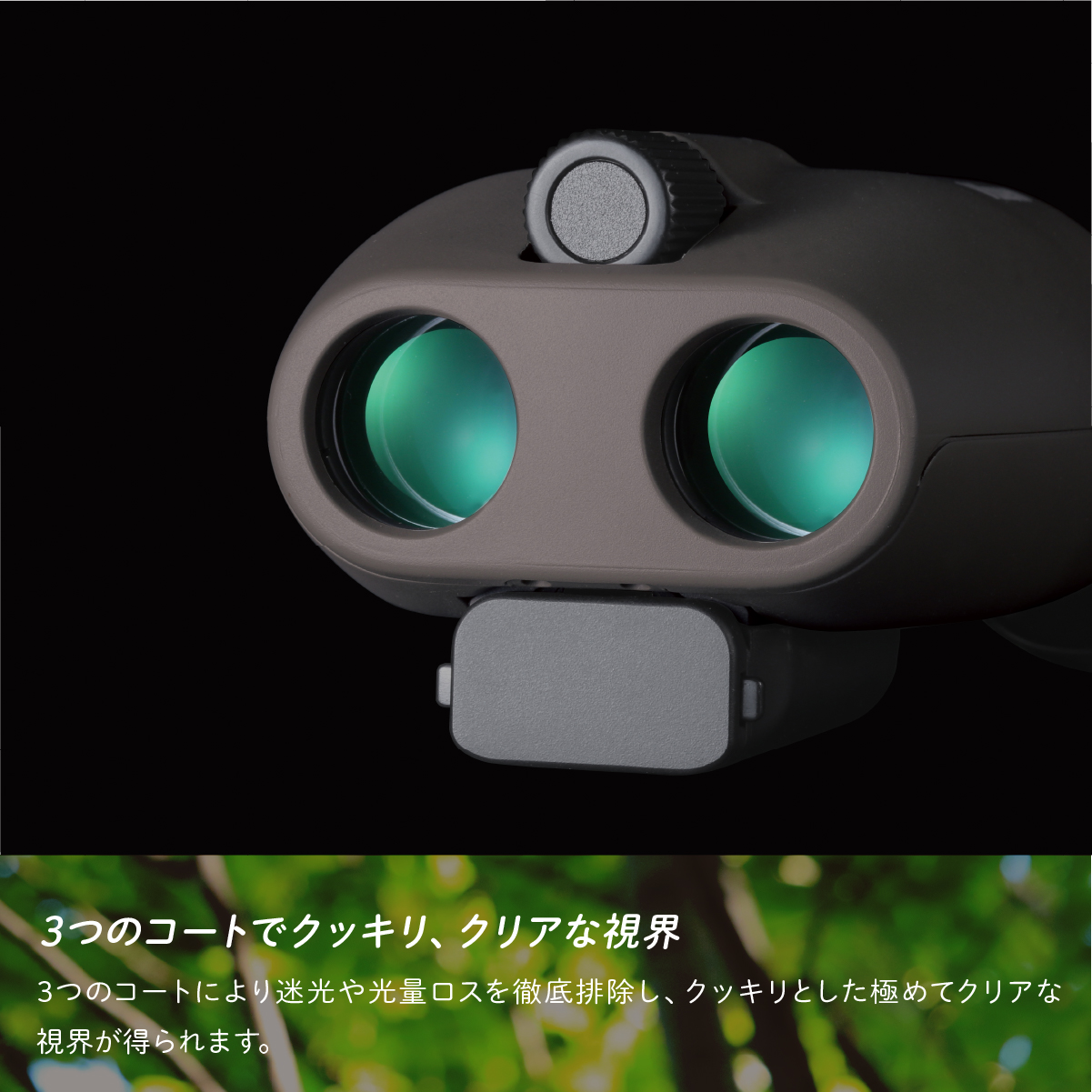 防振双眼鏡 ビクセン アテラ ATERAII H10x21 (グレージュ) Vixen
