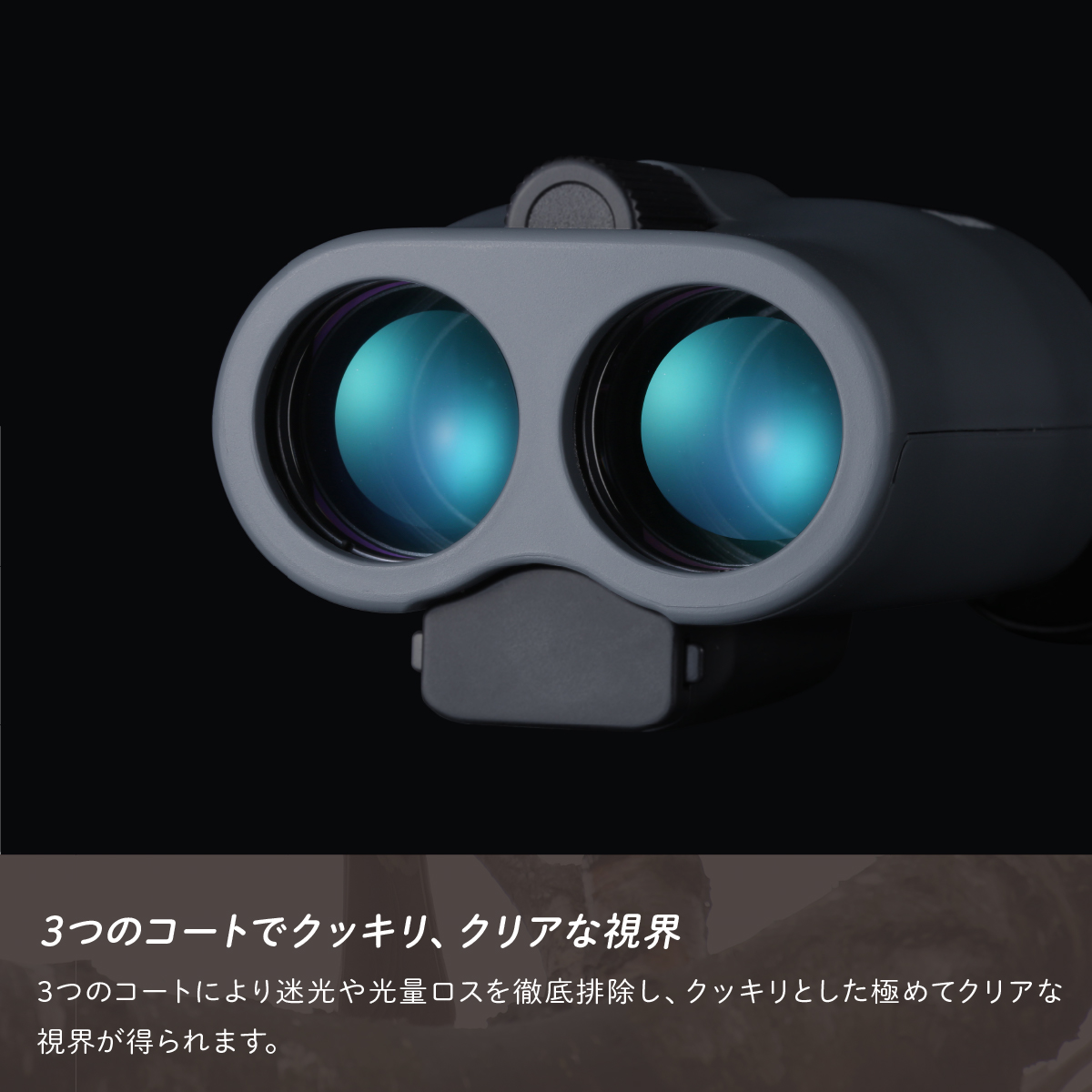 防振双眼鏡 ビクセン アテラ ATERAII H12x30 (チャコール) Vixen