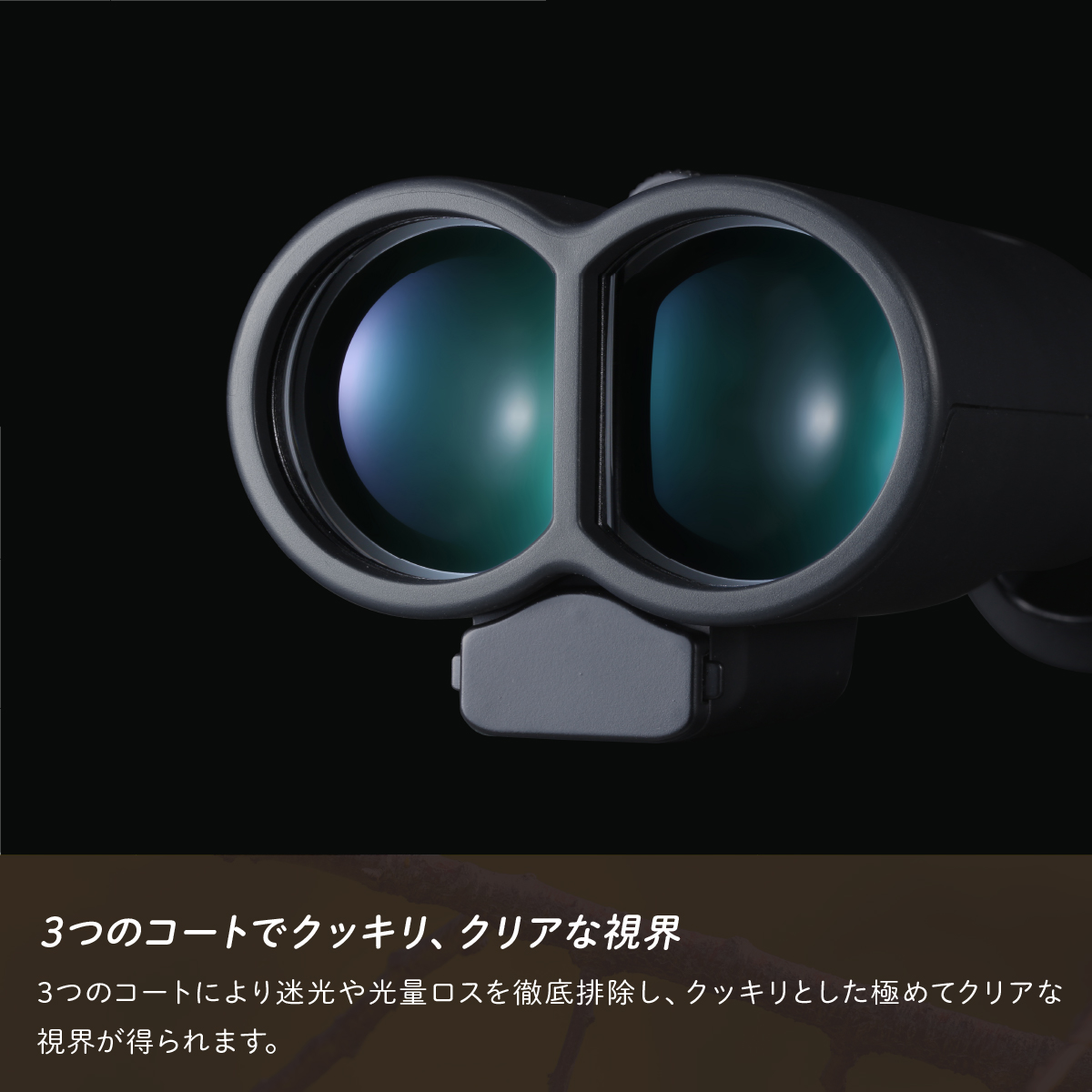 防振双眼鏡 ビクセン アテラ ATERAII H14x42WP (ブラック) Vixen