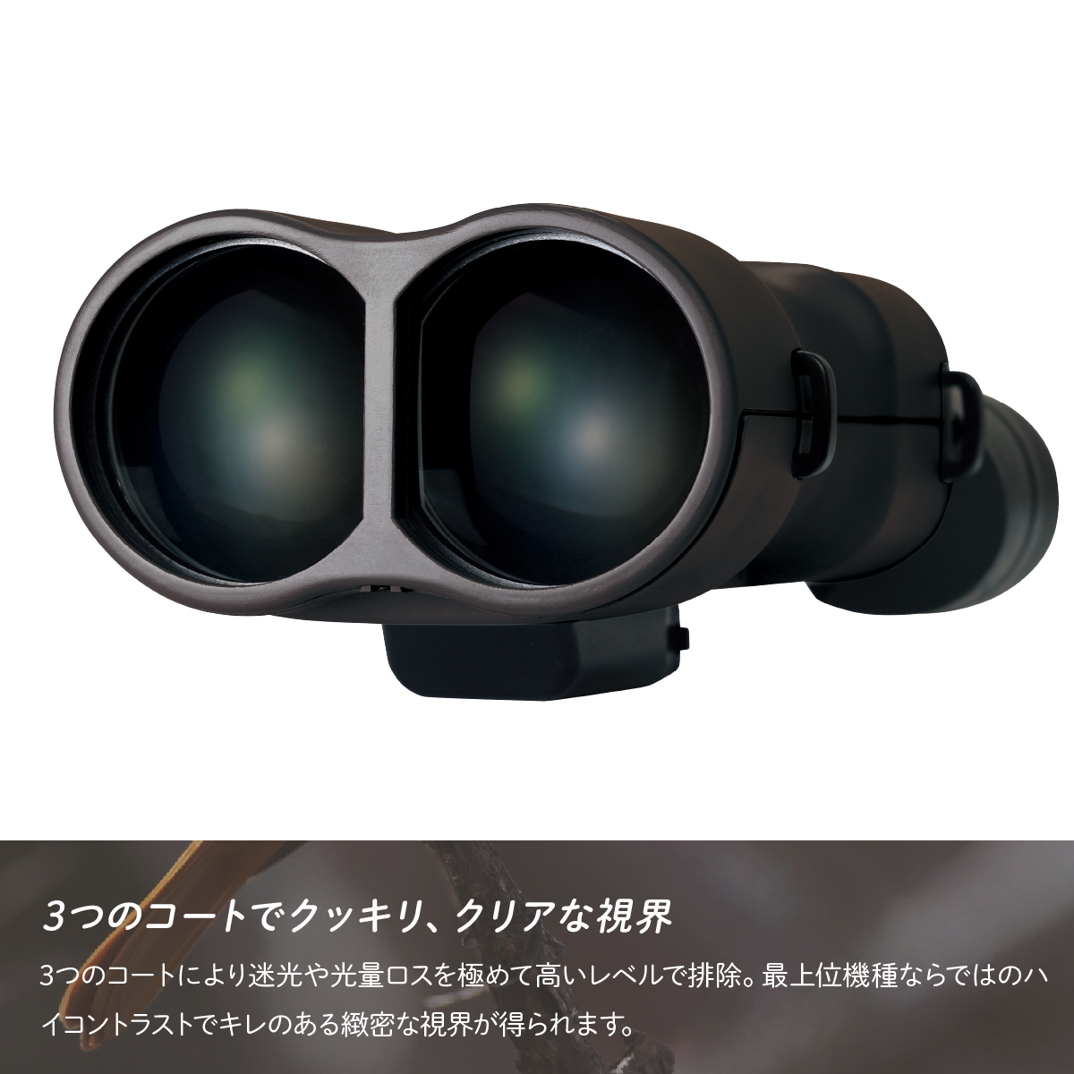 防振双眼鏡 ビクセン アテラ ATERAII EDH16x50WP (ブラックブラウン) Vixen