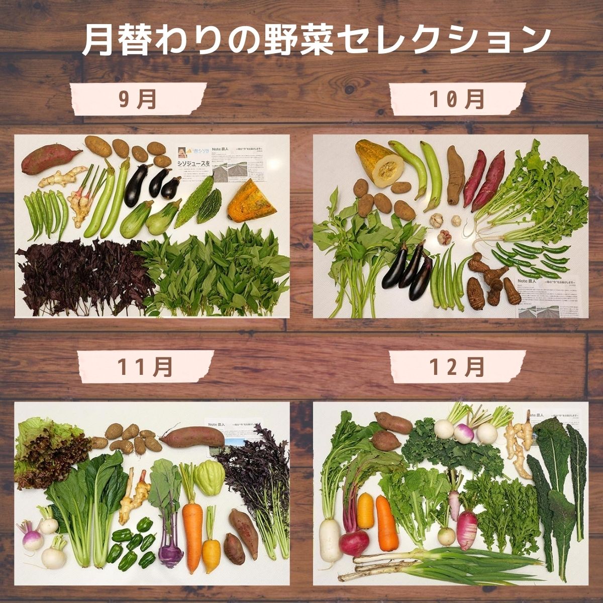＜12ヵ月定期便＞オーガニックファーム所沢農人の旬の野菜詰め合わせ(7～8種)