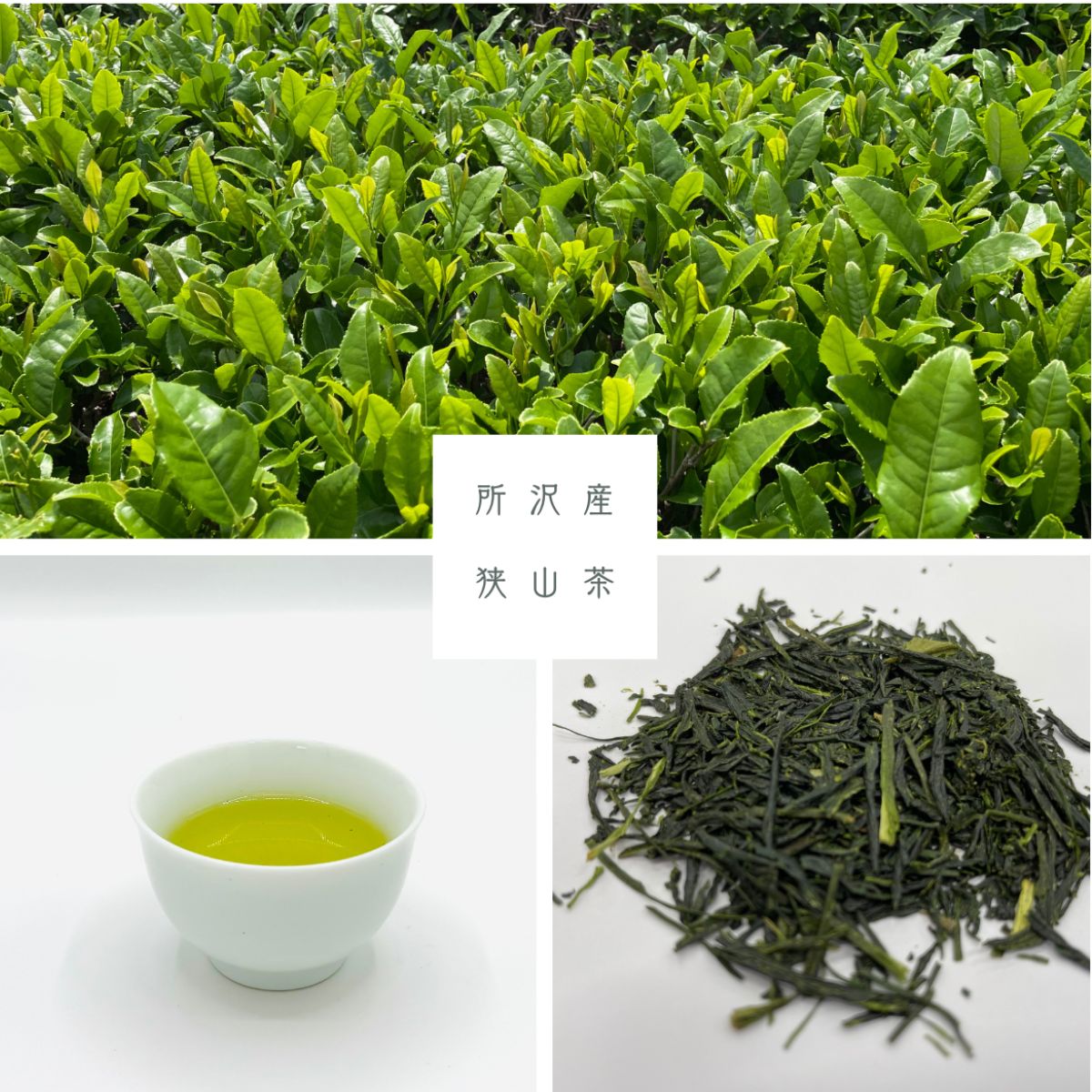 世界農業遺産認定の落ち葉堆肥農法で育てた狭山茶 特上煎茶 (深蒸し茶) 100g 平岡園