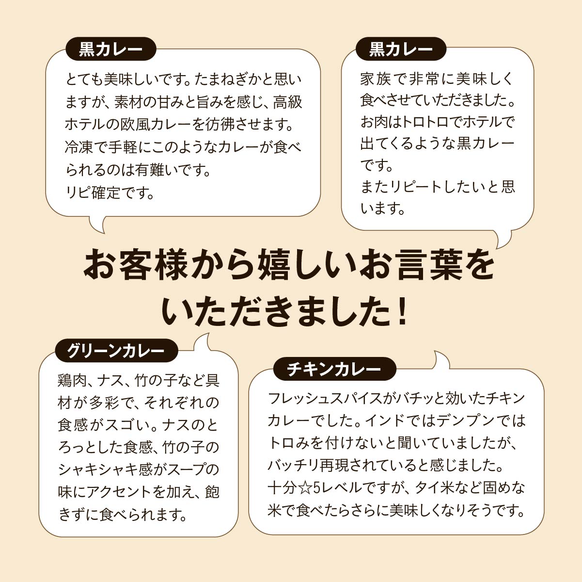 世界三大カレーセット (黒カレー･チキンカレー･グリーンカレー各2袋) タミー食品