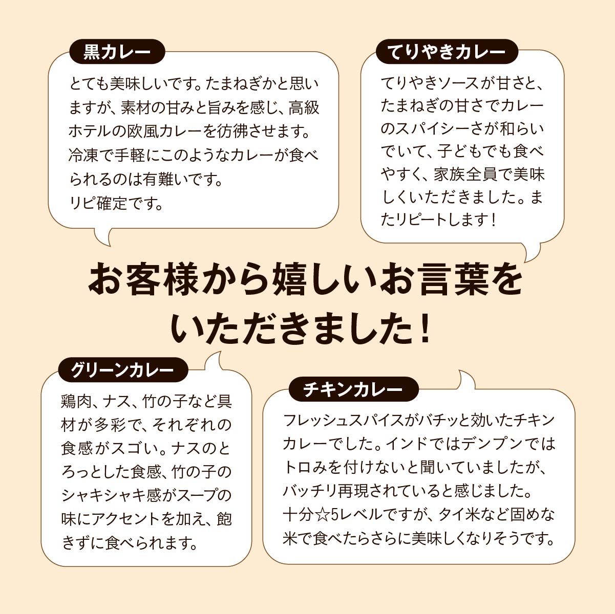 世界四大カレーセット 黒カレー･チキンカレー･グリーンカレー・てりやきカレー 4種×2袋 タミー食品