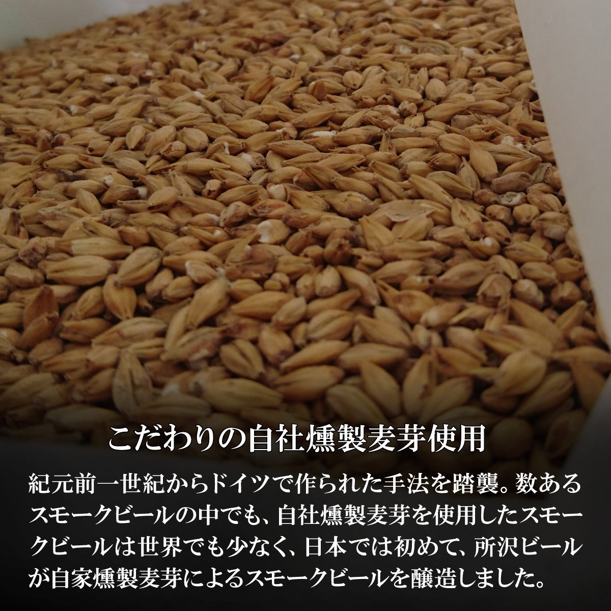 燻製ビール 6本で贅沢 (スモーキン) シングルセット 所沢ビール