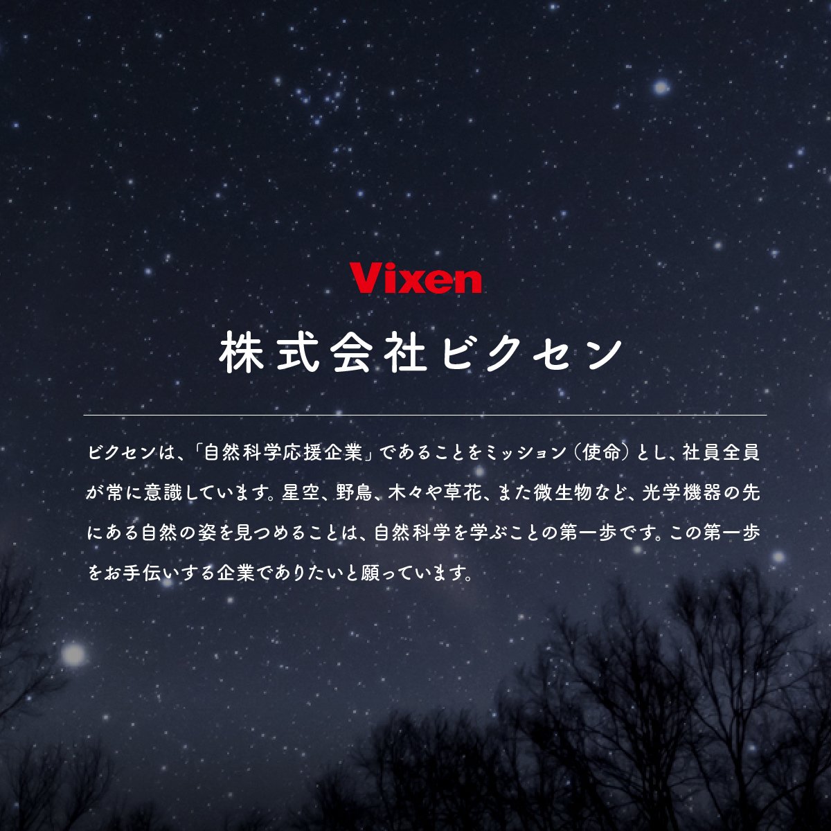 防振双眼鏡 ビクセン アテラ ATERAII H14x42WP (ブラック) Vixen