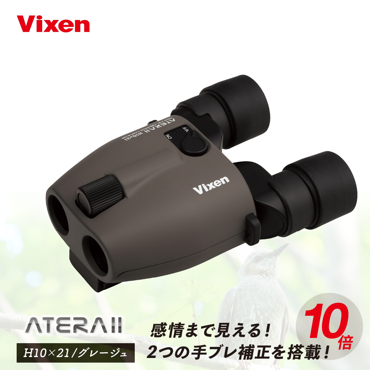 防振双眼鏡 ビクセン アテラ ATERAII H10x21 (グレージュ) Vixen