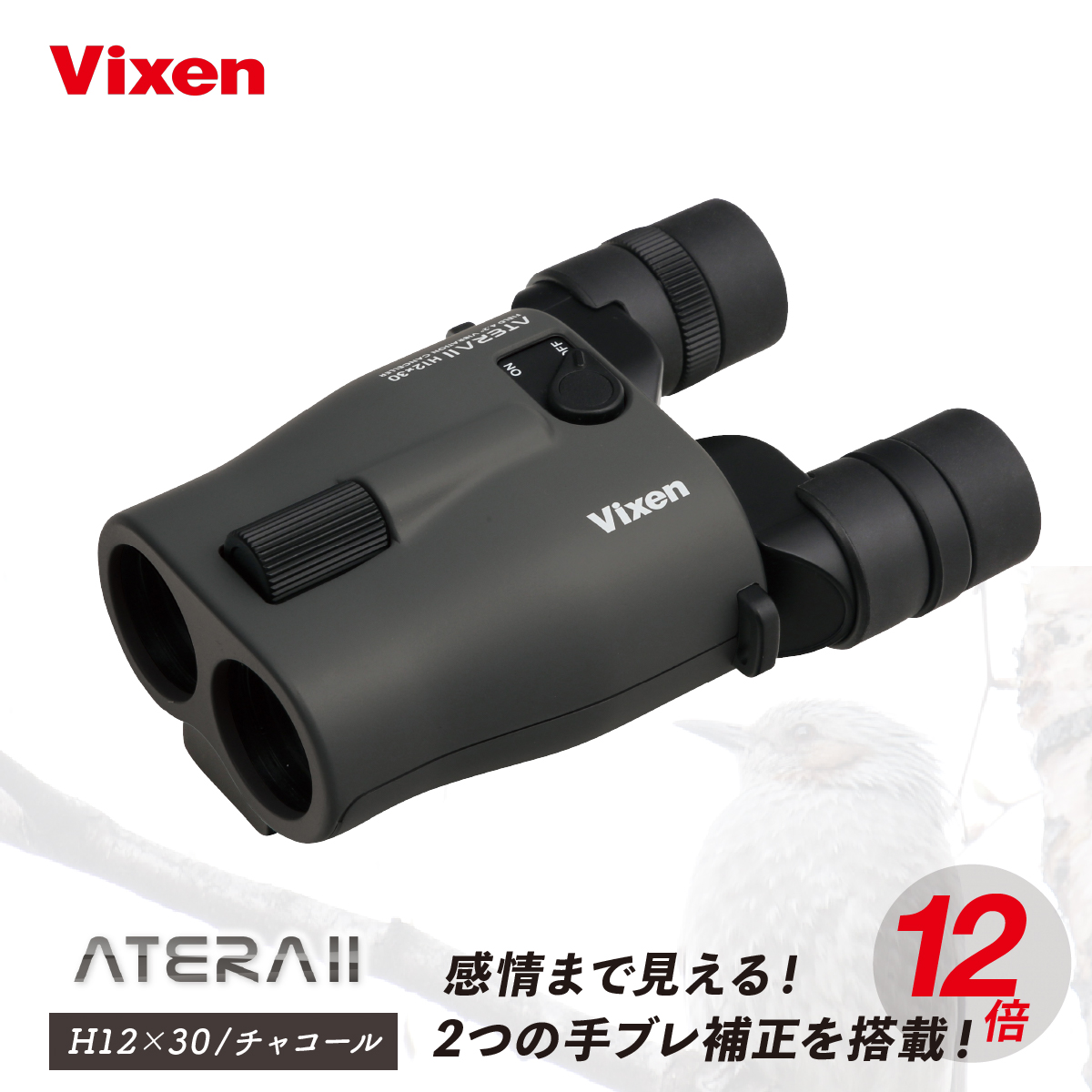 防振双眼鏡 ビクセン アテラ ATERAII H12x30 (チャコール) Vixen