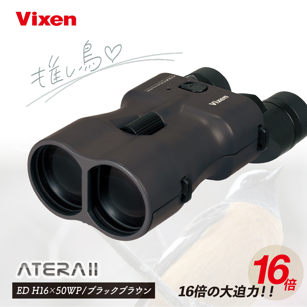防振双眼鏡 ビクセン アテラ ATERAII EDH16x50WP (ブラックブラウン) Vixen